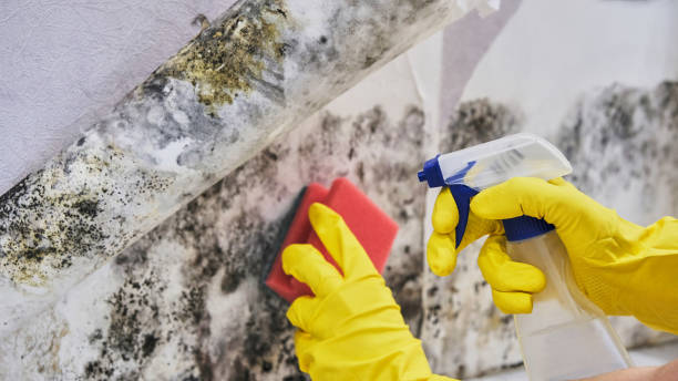 24/7 water damage repair in Edmonton, KY