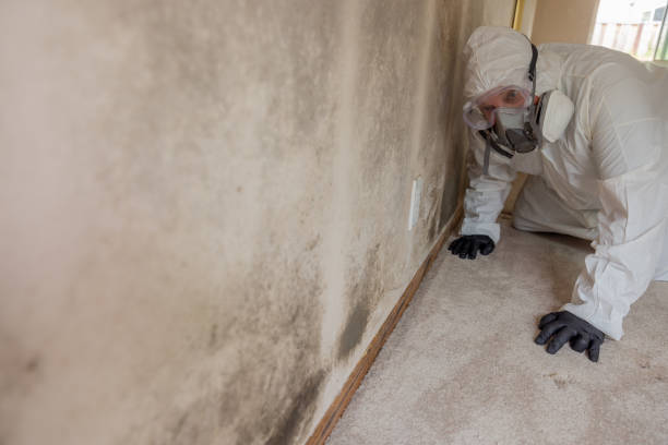 Water damage restoration process in Edmonton, KY